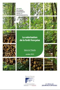 CESE : La valorisation de la forêt française